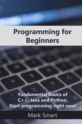 bokomslag Programming for Beginners: Fundamental Basics of C++, Java and Python. Start programming right now!