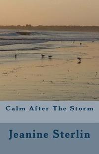 bokomslag Calm After The Storm