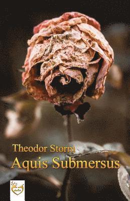 Theodor Storm - Aquis submersus, Häftad