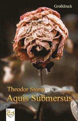 Aquis submersus (Großdruck) 1