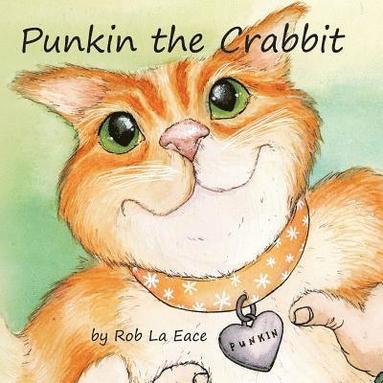 bokomslag Punkin the Crabbit