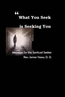 What You Seek is Seeking You: Messages for the Spiritual Seeker 1