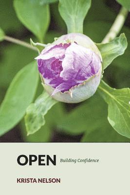 bokomslag Open: Building Confidence