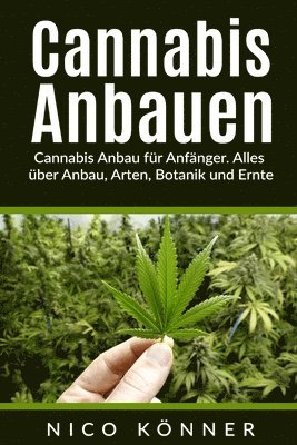 bokomslag Cannabis anbauen: Cannabis Anbau für Anfänger. Alles über Anbau, Arten, Botanik und Ernte