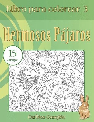 bokomslag Libro para colorear Hermosos Pájaros: 15 dibujos