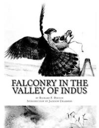 bokomslag Falconry in the Valley of Indus: or Falconry in Pakistan and India