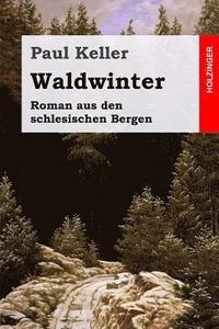 bokomslag Waldwinter: Roman aus den schlesischen Bergen