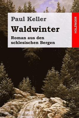 Waldwinter: Roman aus den schlesischen Bergen 1