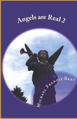 Michael Francis Bray - Angels are Real 2, Häftad