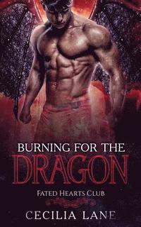 bokomslag Burning for the Dragon