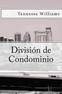 bokomslag División de Condominio