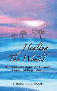 bokomslag Healing The Wound