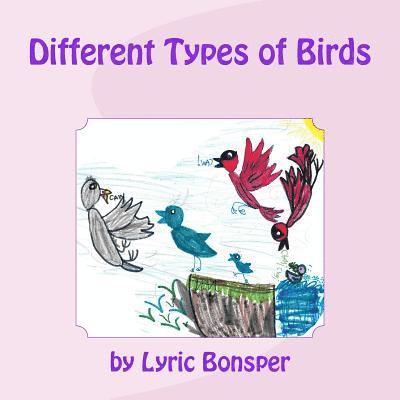 Different Types of Birds 1