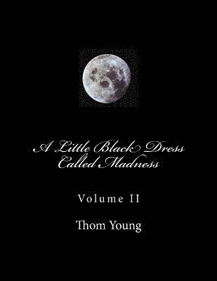 bokomslag A Little Black Dress Called Madness: Volume II