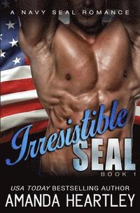 bokomslag Irresistible SEAL Book 1