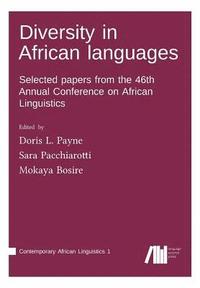 bokomslag Diversity in African languages