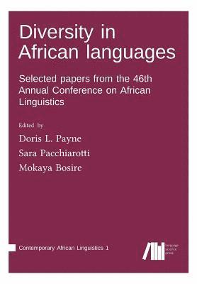 bokomslag Diversity in African languages