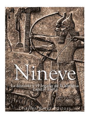 Nínive: la historia y el legado de la antigua capital asiria 1