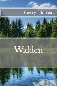 bokomslag Walden