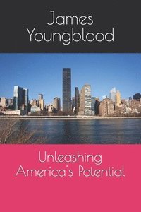 bokomslag Unleashing America's Potential