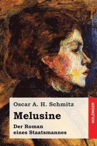 bokomslag Melusine: Der Roman eines Staatsmannes