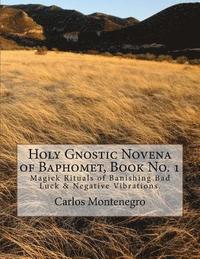bokomslag Holy Gnostic Novena of Baphomet, Book No. 1: Magick Rituals of Banishing Bad Luck & Negative Vibrations.