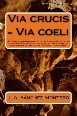 bokomslag Via crucis - Via coeli: Relato de los acontecimientos de los últimos días de la vida de mi padre, después de que un cáncer de pulmón, detectad