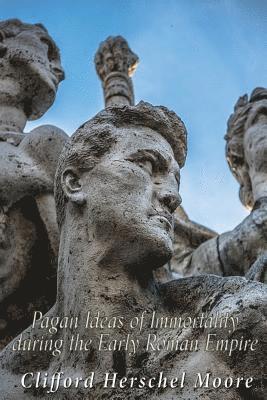 bokomslag Pagan Ideas of Immortality During the Early Roman Empire