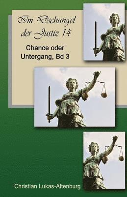 bokomslag Chance oder Untergang 3: Im Dschungel der Justiz