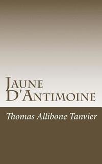 bokomslag Jaune D'Antimoine