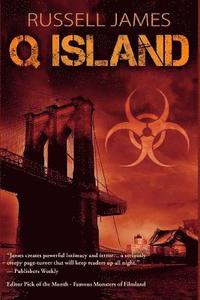 bokomslag Q Island