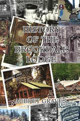 bokomslag History of the Brookdale Lodge