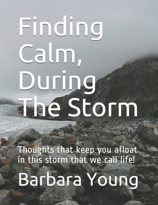 bokomslag Finding Calm, During The Storm: Thoughts that keep you afloat in this storm that we call life!