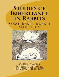 bokomslag Studies of Inheritance in Rabbits: Some Basic Rabbit Genetics