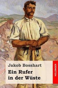 bokomslag Ein Rufer in der Wüste: Roman