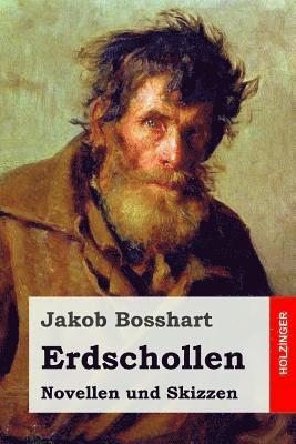 bokomslag Erdschollen: Novellen und Skizzen