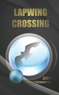 bokomslag Lapwing Crossing