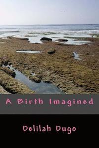 bokomslag A Birth Imagined