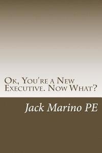 bokomslag OK, You're a New Executive. Now What?: Reflections on 40 years as a small company manager