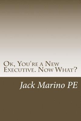 bokomslag OK, You're a New Executive. Now What?: Reflections on 40 years as a small company manager