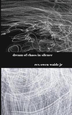 dream of chaos in silence 1