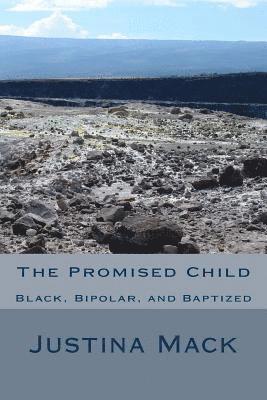 bokomslag The Promised Child: Black, Bipolar, and Baptized