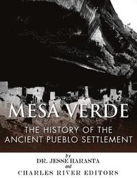 bokomslag Mesa Verde