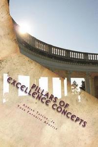 bokomslag Pillars of Excellence Concepts