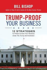 bokomslag Trump-Proof Your Business: 12 Strategies To Protect & Grow Your Business Under The Trump Administration