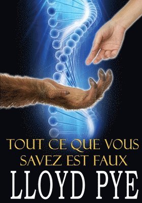 bokomslag Tout ce que vous savez est faux