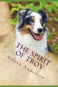 bokomslag The Spirit of Troy