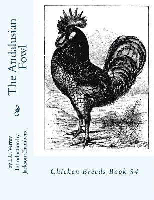 The Andalusian Fowl: Chicken Breeds Book 54 1