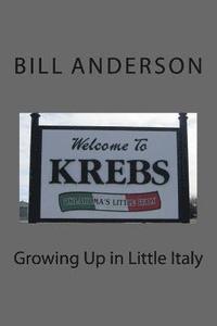 bokomslag Growing Up in Little Italy