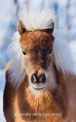 bokomslag Agenda delle password: Agenda degli indirizzi web e delle password di accesso - Copertina piccolo pony